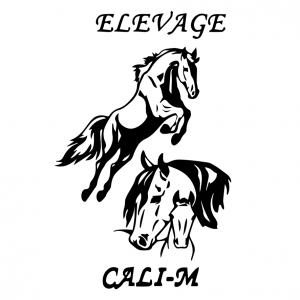 Elevage CALI-M (36230)