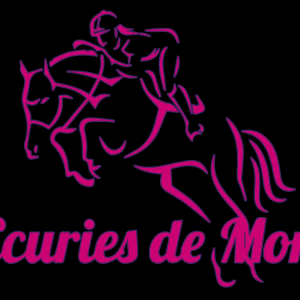 Les écuries de Mornay (86110)