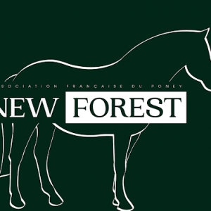 Association New Forest (49130)