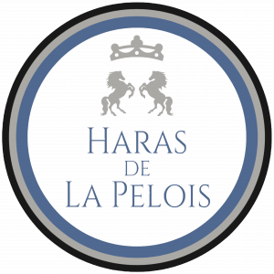 Haras de la Pelois (72400)