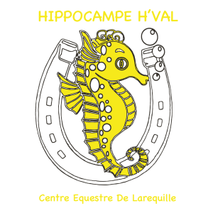 Hippocampe H Val - Centre équestre de Larequille (03310)