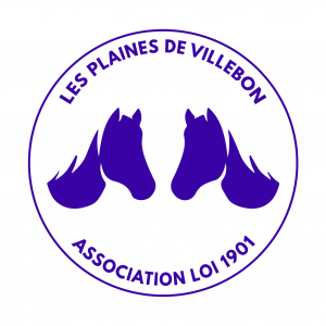 Les Plaines de Villebon (91140)