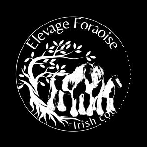 Elevage Foraoise (79170 Paizay-le-Chapt)