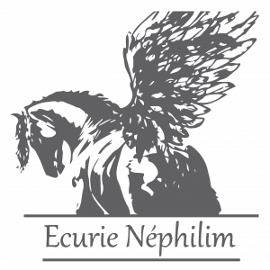 Ecurie Nephilim (42230)