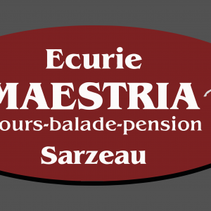 Maestria Equitation Sarzeau (56370)