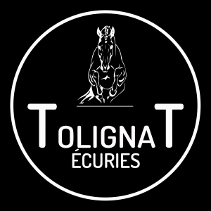 Les écuries de Tolignat (38210)