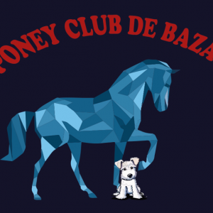 Poney club de Bazas (33430)