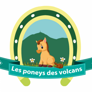 Les poneys des volcans (63410)