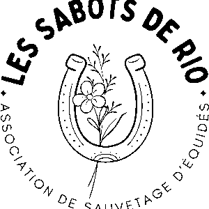 Les Sabots de Rio (71140 Bourbon Lancy)