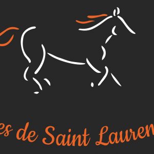 Les Écuries de Saint Laurent des Bois (41240)