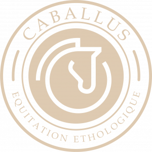 Caballus (13113)