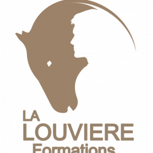 La Louvière Formations (84410)