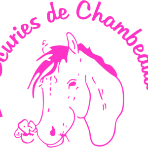 Ecuries de Chambeaud (26740)