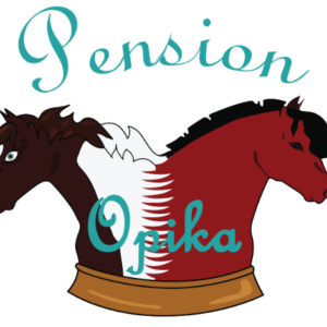 Pension d'Opika (42800)