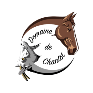 Domaine de Chantôt (71140)