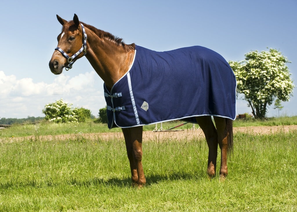 Chemise polaire EQUITHÈME Confort