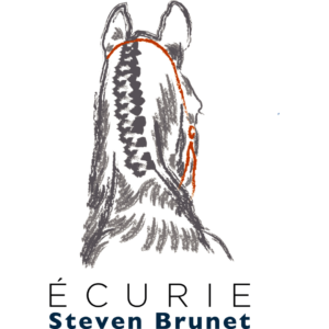 Ecurie Steven Brunet (86200)