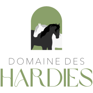 Domaine equestre des Hardies (89520)