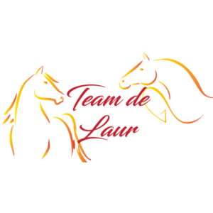 Ecuries team de Laur (34570)
