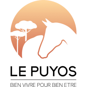 Le Puyos (40390)