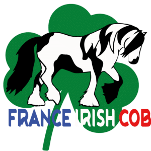 FRANCE IRISH COB (46230)