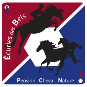 Ecuries Des Bels ( 81290)