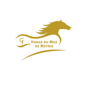 Le Haras Du mas (38300)
