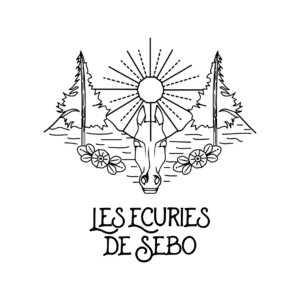 Les Ecuries de Sebo (84160)