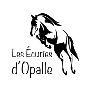 Les écuries d’Opalle (45720)
