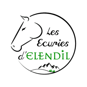 Les écuries d'Elendil (65150)