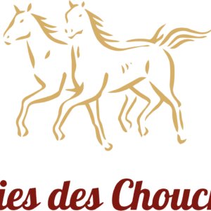 Ecuries Des Chouchous (79450)