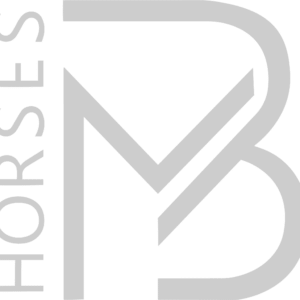 BM Horses (77167)