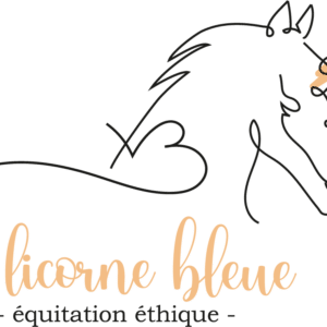 La Licorne Bleue (38270)