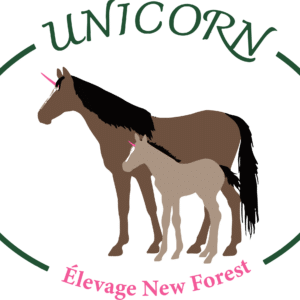 Unicorn ( 80430)