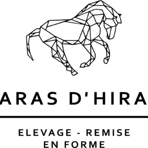 Haras d'Hiram (84510)