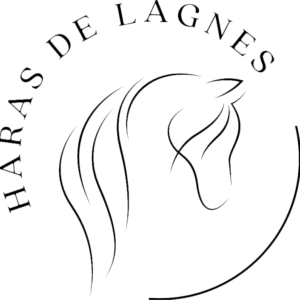 Haras de Lagnes (84800)