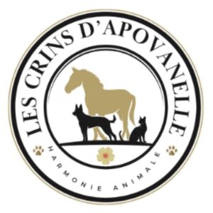 Les crins d'Apovanëlle (88500)