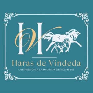 Haras de vindeda (85140)