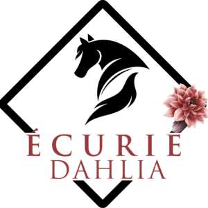 ECURIE DAHLIA (62370)