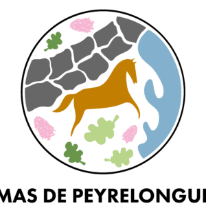 MAS DE PEYRELONGUE (46100)