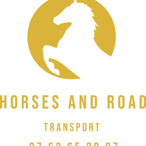 HORSES AND ROAD (43300)