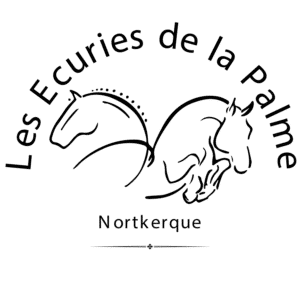 Les écuries de la palme (62370)