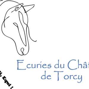 LES ECURIES DU CHATEAU DE TORCY (71210)