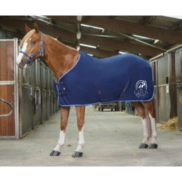 Chemise polaire Riding World (avec attaches) - Eden horse - Marine/Bleu Ciel - 400637