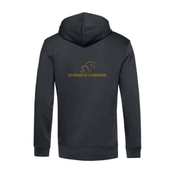 SWEAT ZIPPÉ (Homme) - Les chevaux de la diamanterie - Gris Anthracite - BCU03K – Image 2