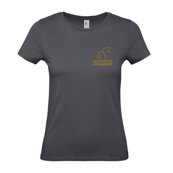 T-Shirt Bio Premium (femme) - Les chevaux de la diamanterie - Gris Anthracite - BC049