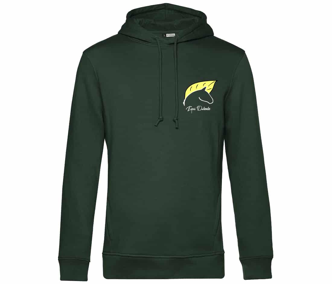 SWEAT A CAPUCHE (homme) - Equidetente - Vert Foret - BCU33B