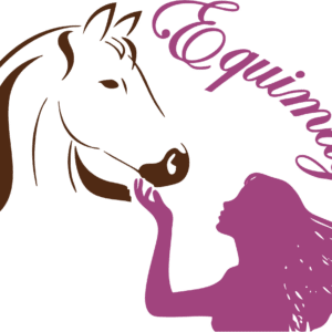 Centre Equimagic (17120)