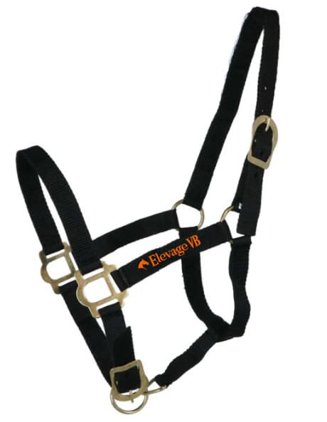 Licol + longe RIDING WORLD "Club" - ELEVAGE VB - Noir- 510118