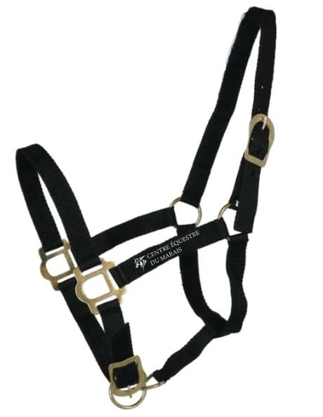 Licol + longe RIDING WORLD "Club" - centre equestre du marais – Noir - 510118